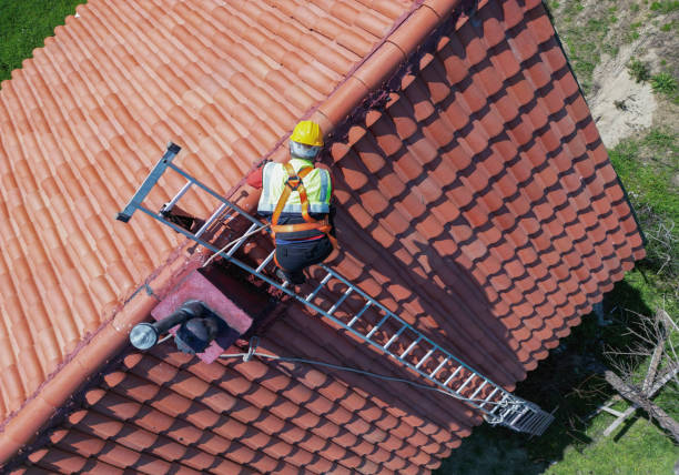 Best Sheet Metal Roofing  in Harbison Nyon, CA